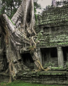 verlaten gebouwen in Angkor Cambodja