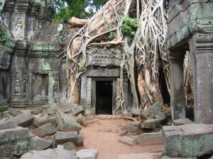 Fietsen naar Angkor Wat