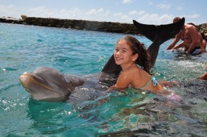 Spelen met dolfijnen in curacao
