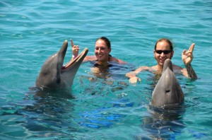 Leuke dolfijnen in curacoa