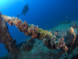 Duiken in curacao