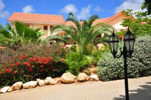 Zanzibar curacao