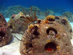 Prachtige wateren in curacao